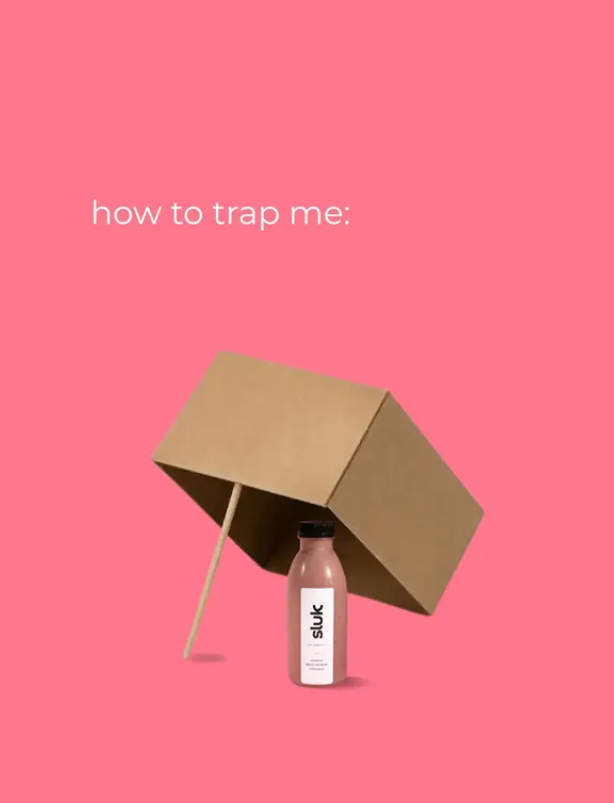 Instagram post: how to trap me – a box propped over a sluk smoothie